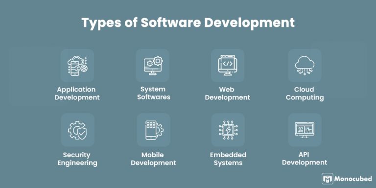 Web Development vs Software Development: 7 Key Differences